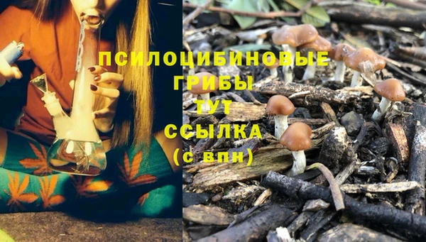 синтетический гашиш Бронницы
